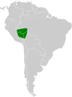 Distribución geográfica del hormiguero de Goeldi.