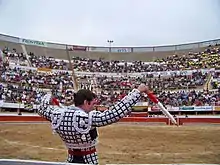 Gradas y ruedo. Alejando Amaya en una corrida de octubre 2010.