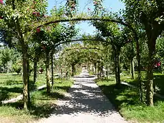 Pérgola de los rosales.