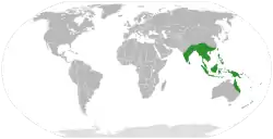 Distribución de Alocasia.