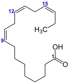 Imagen de la estructura