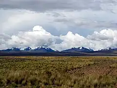 Altiplano húmedoMeseta del Titicaca, La Paz