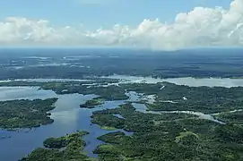 Amazonia de Brasil