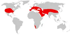 Reconstrucción a partir de fósiles