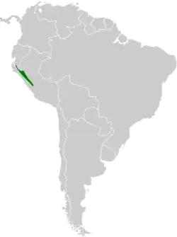 Distribución geográfica del cachudito crestinegro.