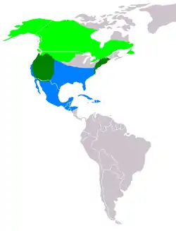 Distribución de Anas carolinensis.