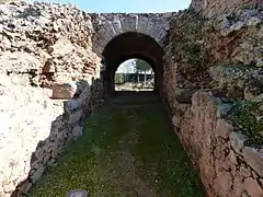 Túnel de acceso a la arena.