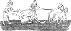 A crude medieval line drawing, showing a man with a team of two oxen ploughing a field, assisted by a woman. Both the man and woman are dressed in long medieval cloths.