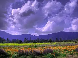 Paisaje en la Angostura de Paine