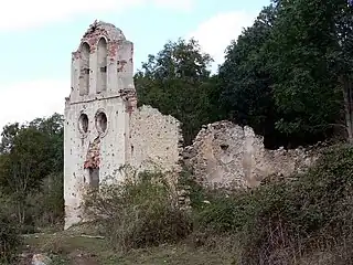 Anguta