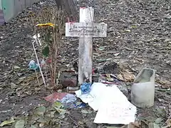 Animita que conmemora la muerte de Daniel Zamudio, parque San Borja