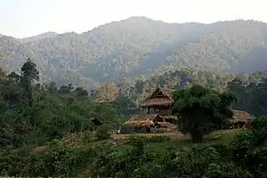 Instantánea de la cordillera Annamita, perteneciente a Vietnam, lugar donde en 1997, los científicos descubrieron el primer ejemplar de Muntiacus trungsonensis.