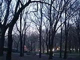 El Central Park tras el crepúsculo