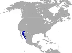 Distribución de Lepus alleni