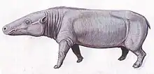 Anthracotherium magnum