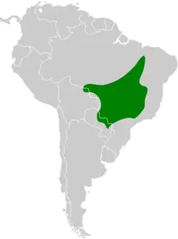 Distribución geográfica del saltarín de yelmo.