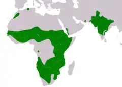 Distribución de Aquila rapax