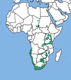 Distribución del águila cafre