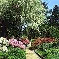 Senda de los Rhododendron en el Arboretum Ellerhoop