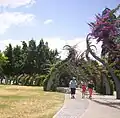 Grand Arbor, Southbank Parklands, Brisbane