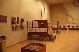 Exposición de objetos neolíticos en el museo.