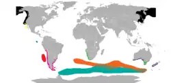 Distribución de todas las especies de Arctocephalinae.