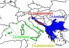 Distribución de las subespecies de Testudo hermanni.