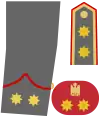 Teniente Coronel