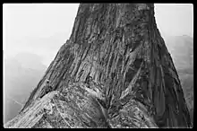 Escalada del Stetind con Arne Næss, 1937. Producción Fotográfica.