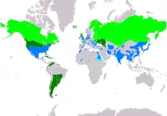 Distribución de Asio flammeus