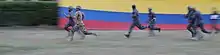Soldados entrenando en Tolemaida (2014).