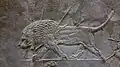 León herido, relieve asirio.