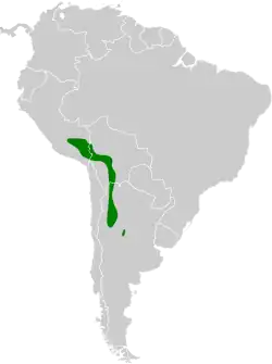 Distribución geográfica del canastero de la Puna.