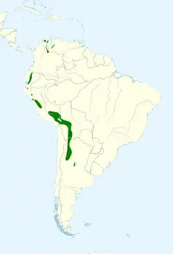 Distribución geográfica del canastero de Wyatt.