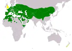 Distribución de Athene noctua