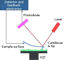 A Atomic Force Microscope