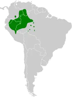 Distribución geográfica del atila citrino.