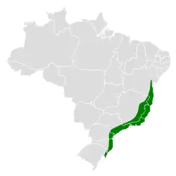 Distribución geográfica del atila encapuchado.