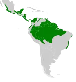 Distribución geográfica del atila polimorfo.