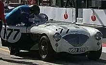 Austin-Healey 100M