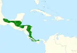 Distribución geográfica del ticotico gorgiclaro norteño.