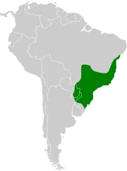 Distribución geográfica del ticotico ojibanco.