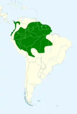 Distribución geográfica del ticotico gorgiclaro (incluyendo A. cervinigularis)