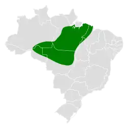 Distribución geográfica del ticotico de Pará.