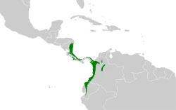 Distribución geográfica del ticotico listado occidental.