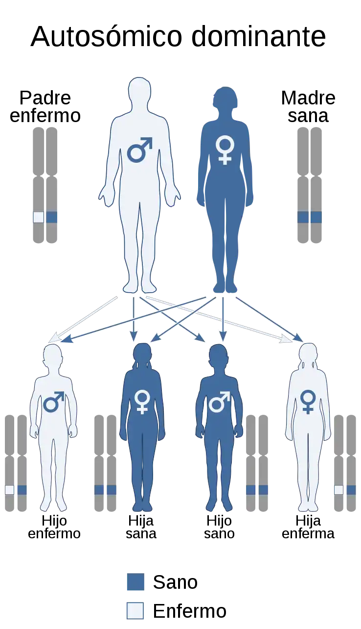 Autosomal dominant - es.svg