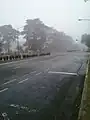 Avenida Pellegrini, casi al llegar a Alvear, en un día de niebla