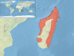 Distribución de la baza malgache.