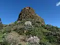 Torre y almendros florecidos.