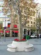 Banco-jardinera del paseo de Gracia.